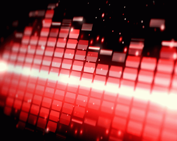 16 نکته برای آشنایی کامل با نژاد سگ امریکن بولی